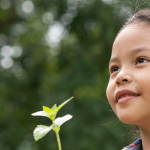 Midnight Lessons in Cambodia
