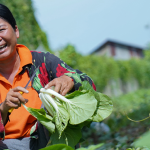 Triple Yield: Cambodia’s Business